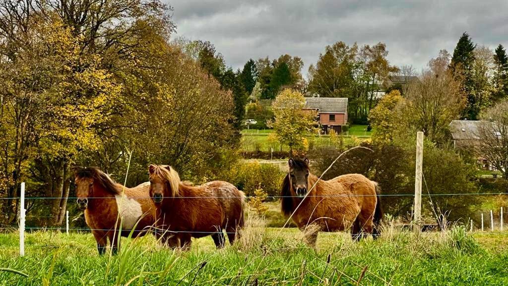 La Maison Attila En Ardennes Libin Kültér fotó